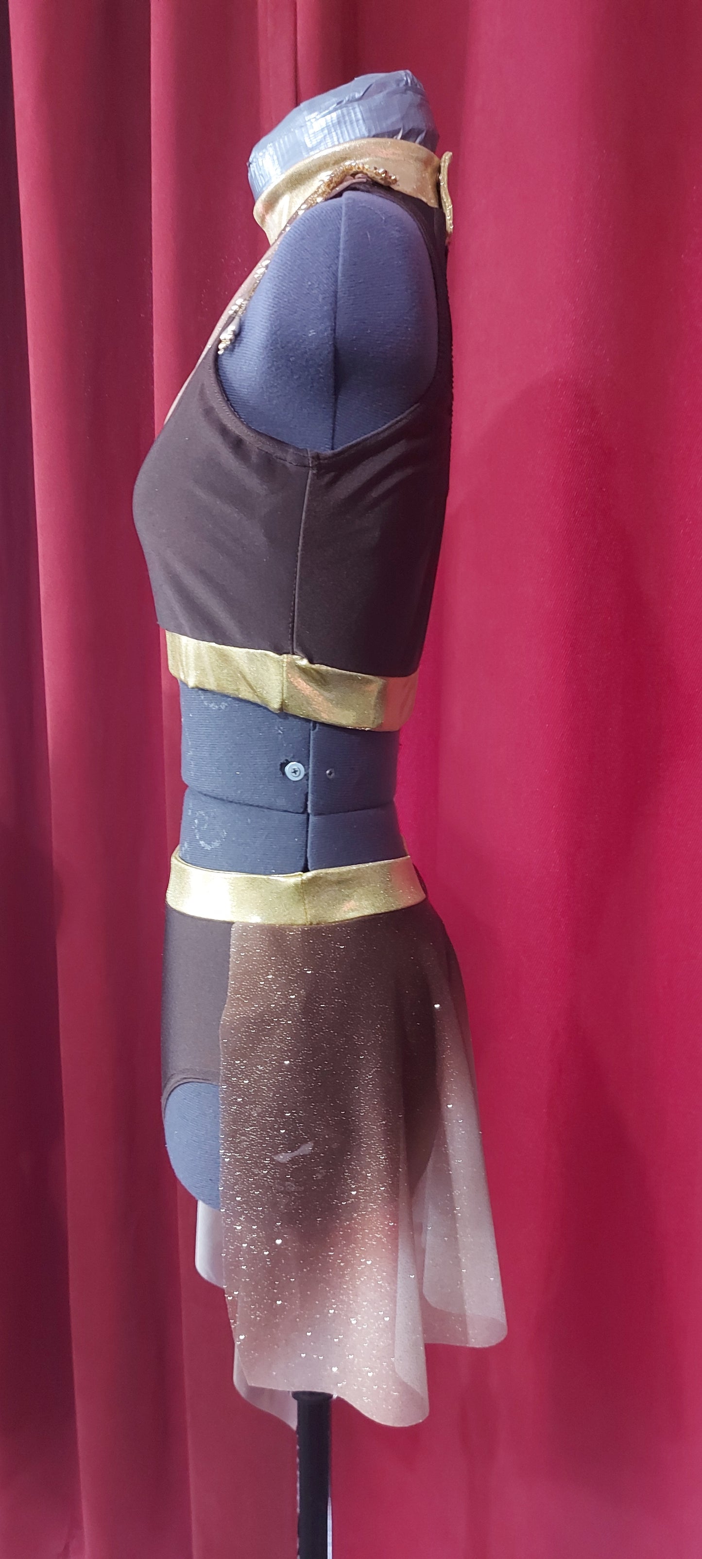 Brown and Gold Dance costume