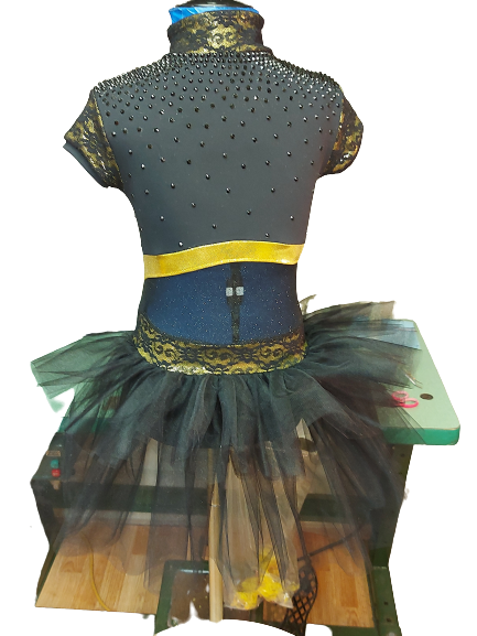 Bumble Bee Themed Dance Dress